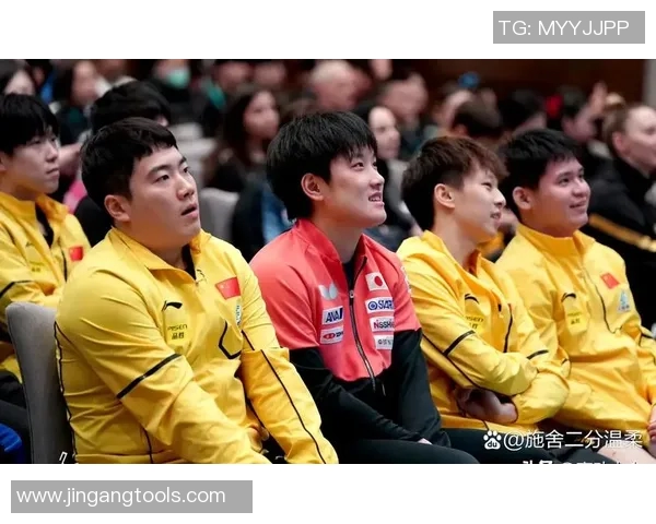 体育竞技的魅力：全球运动员如何在赛场上展现非凡实力与精神追求