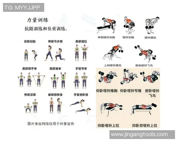 深度解析各类有氧运动的健身效果