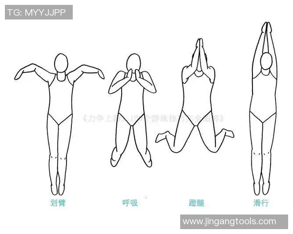 蛙泳技巧与训练方法全面解析,助你快速掌握标准蛙泳姿势 蛙泳技巧与训练方法全面解析,助你快速掌握标准蛙泳姿势