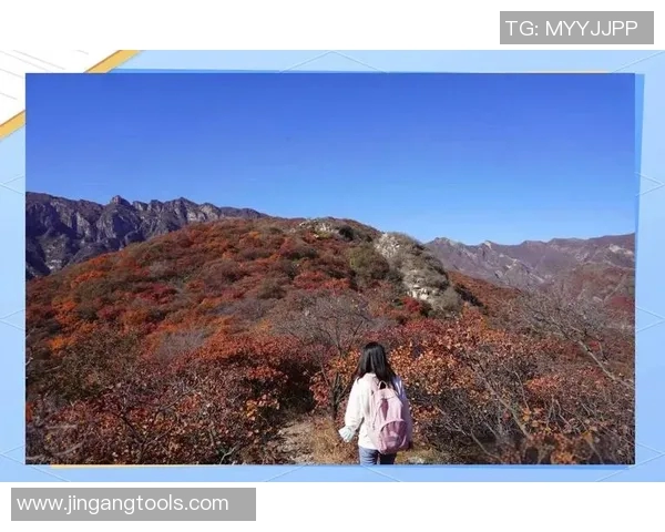 飞盘之路：黄丽如何在深度对话中探索人生的无限可能