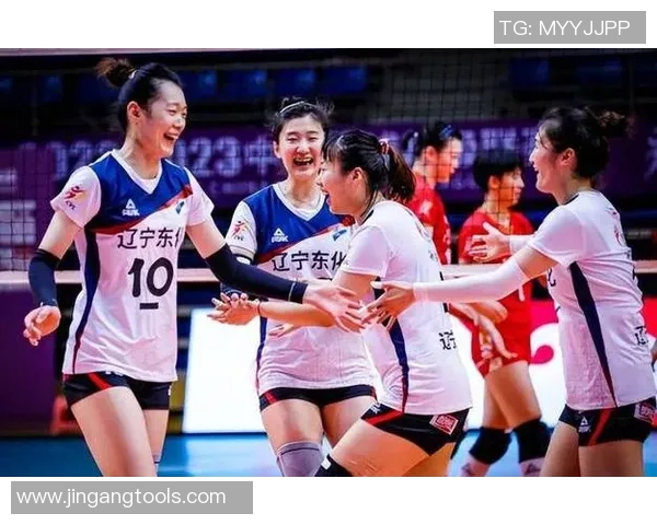 成都排球队实力强劲最新排球力量排行榜前十名揭晓