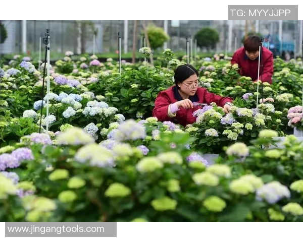 花卉种植技巧与方法探究，打造美丽家园的绿色梦想