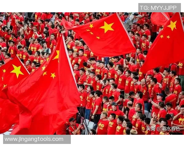 中国足球明星风采与成就全面解析与介绍
